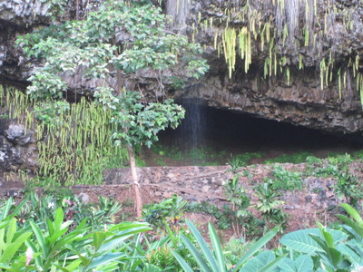 b0184211_1737491.jpg