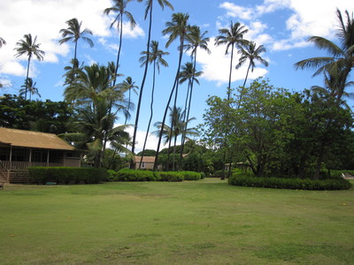 b0184211_17395366.jpg