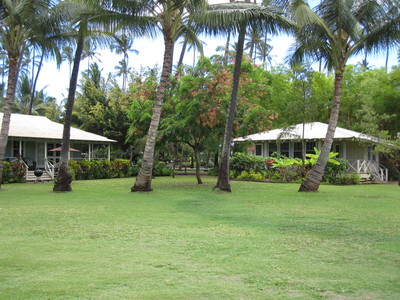 b0184211_17402636.jpg