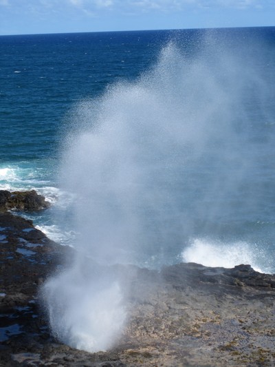 b0184211_17432471.jpg