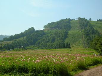 d0036611_1102679.jpg