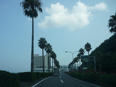 f0191413_1161261.jpg