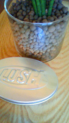 a0151915_11132430.jpg