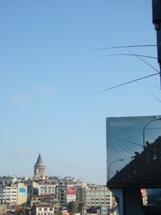 c0207322_851228.jpg