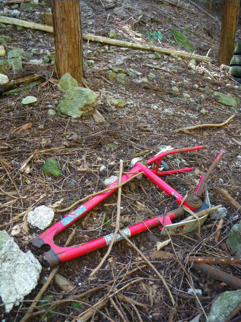 c0189724_16215721.jpg
