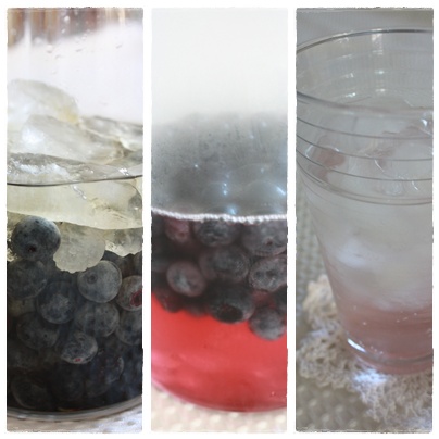 飲む酢~ブルーベリー酢を作りました。_c0141025_19242124.jpg