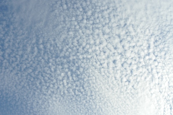 雲 ナウ!_b0172633_16422566.jpg