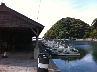 /// 山陰海岸ジオパーク・絶景ポイント－「 居組海岸と潮吹崎(陸上岬)」 ///_f0112434_21592554.jpg