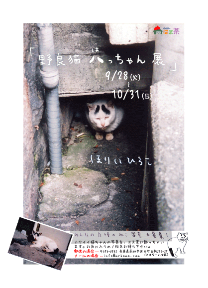 野良猫八ちゃん展_d0131137_15314258.gif