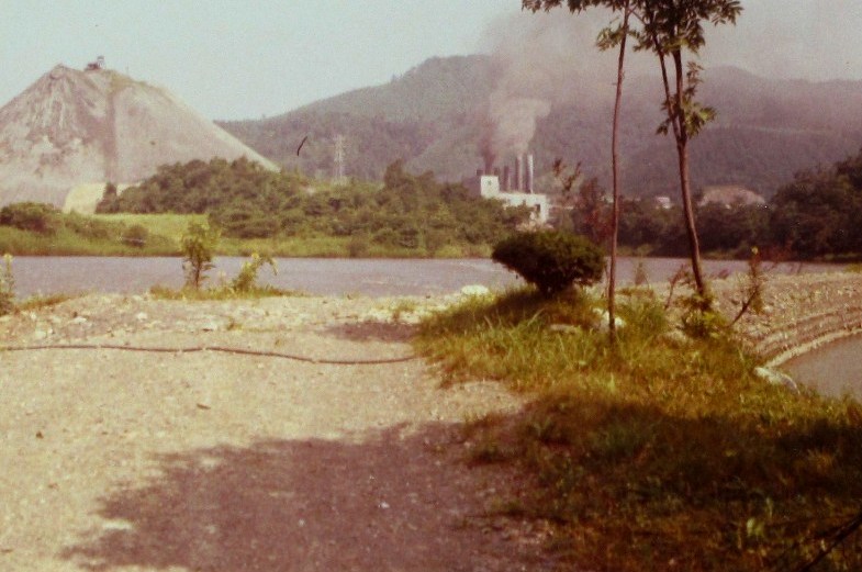 e0172840_1537121.jpg