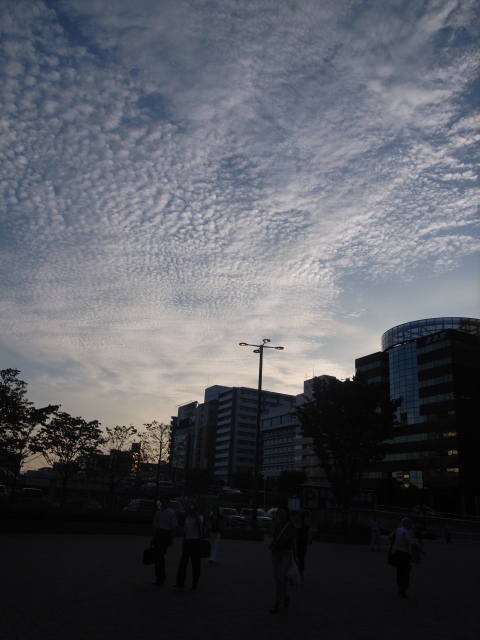 a0087341_233424.jpg
