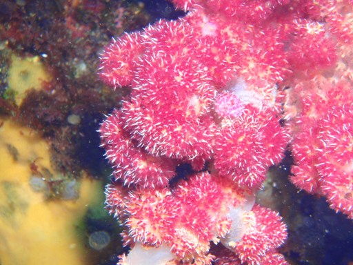 e0065350_263867.jpg
