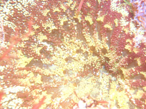 e0065350_274971.jpg