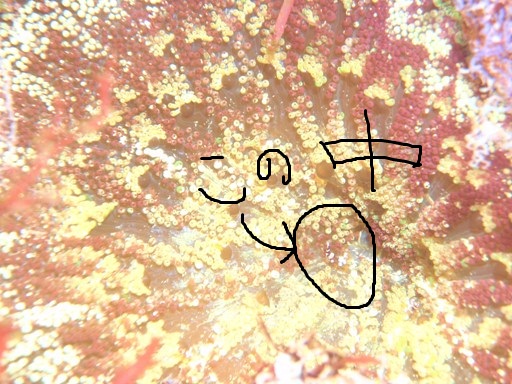 e0065350_28117.jpg