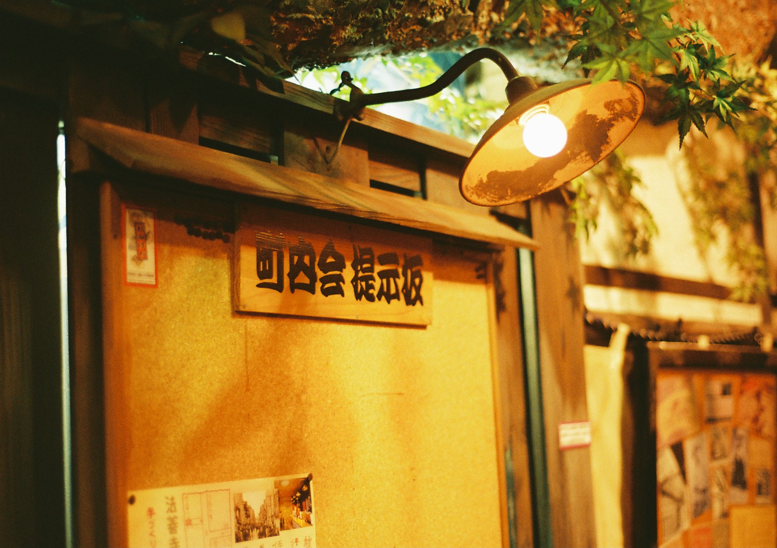f0209159_17244212.jpg