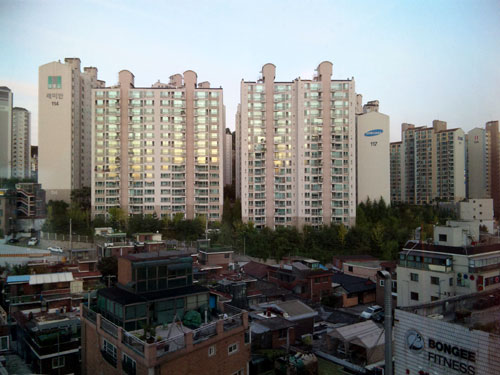 b0101263_17691.jpg