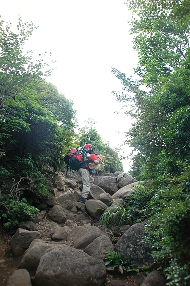 ２０１０年夏のくじゅうボッカトレ山行②　～沓掛山まで～_e0013365_18464964.jpg