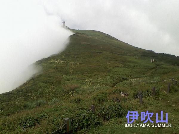 f0052068_10315891.jpg