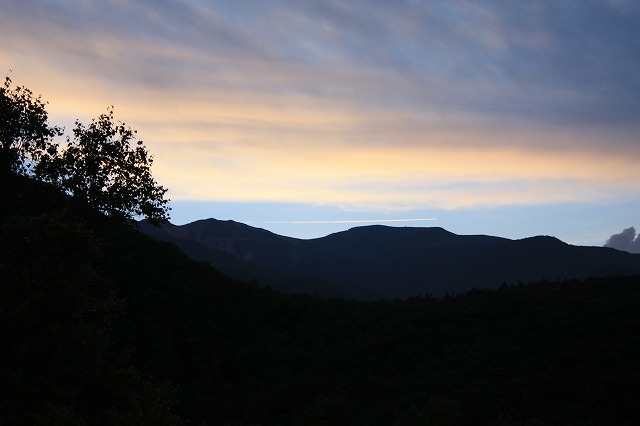 f0052068_1140884.jpg