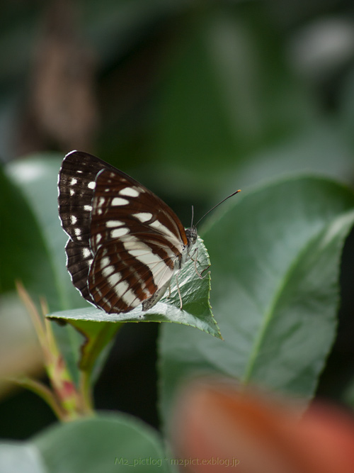 触感_e0097970_10273379.jpg
