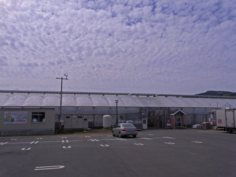 e0100772_20582620.jpg