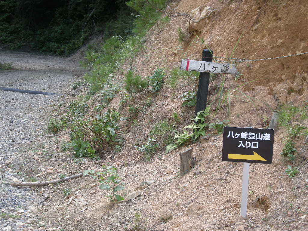 b0185573_17822.jpg
