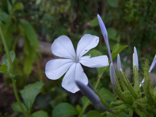 e0181373_2012690.jpg