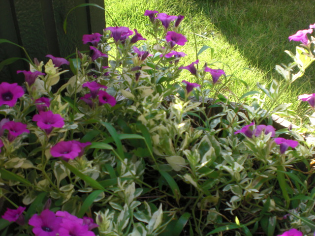 c0228378_2047240.jpg