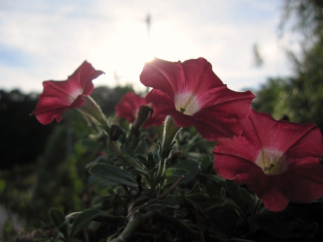 b0182884_239442.jpg