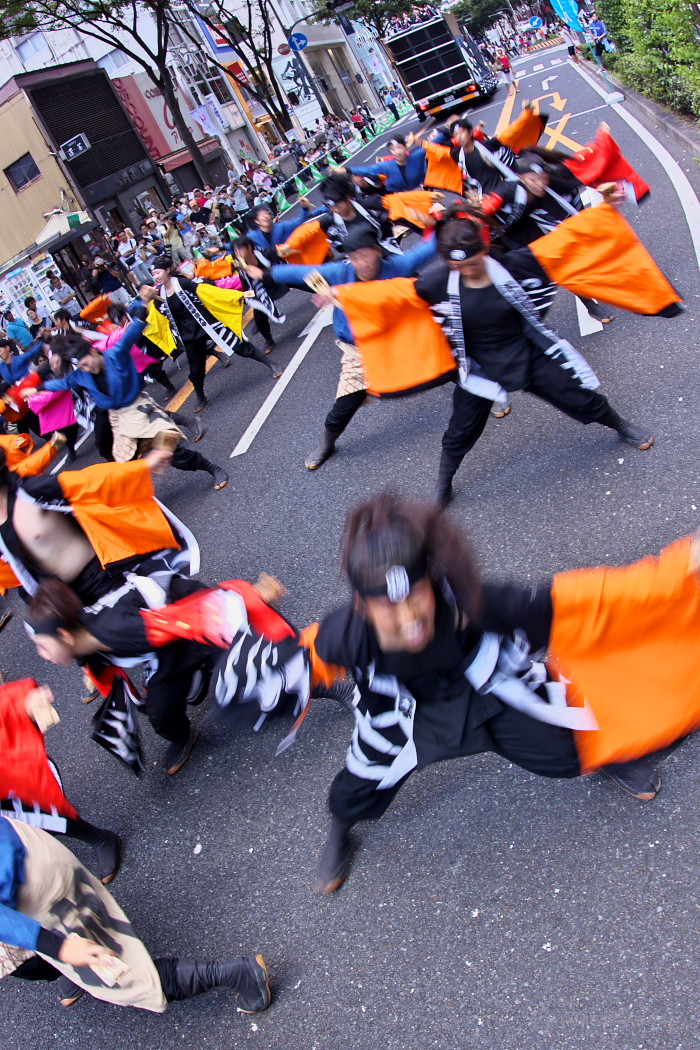 第12回にっぽんど真ん中祭り：岐阜聖徳学園大学 柳 その3_c0187584_23564258.jpg