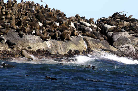 大自然 南アフリカの旅 よしd700 私のアングル 大自然 南アフリカの旅 よしd700 私のアングル