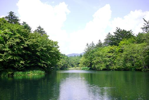 a0091891_0114012.jpg