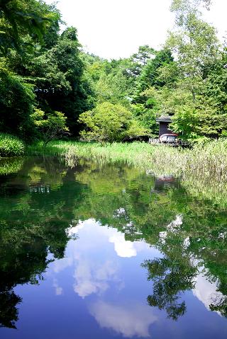 a0091891_017534.jpg