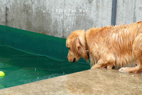 【犬的散歩日和】栃木・那須 4/12 〜 ペンションオリーブさん 3_f0054594_6221317.jpg