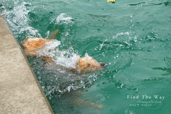 【犬的散歩日和】栃木・那須 4/12 〜 ペンションオリーブさん 3_f0054594_6261573.jpg