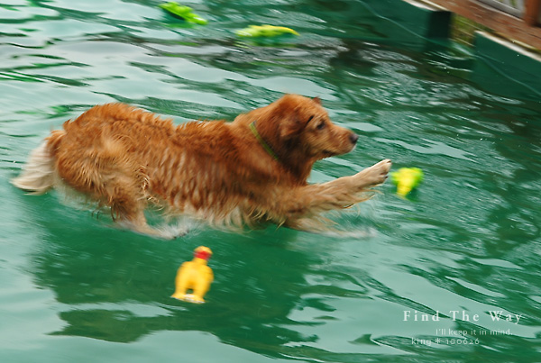 【犬的散歩日和】栃木・那須 4/12 〜 ペンションオリーブさん 3_f0054594_6272289.jpg