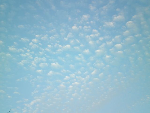 f0130894_21124671.jpg