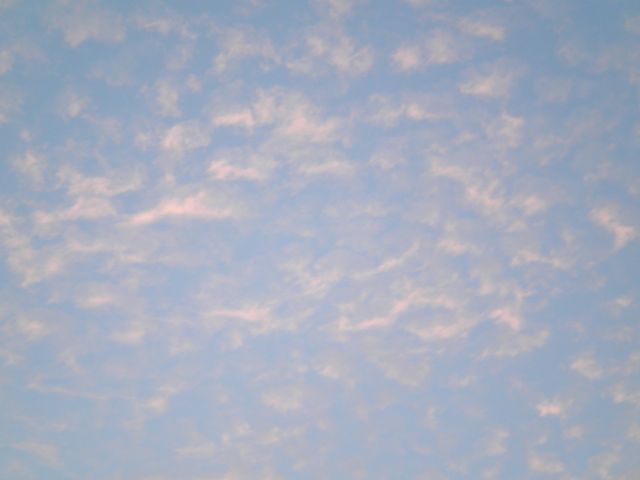 f0130894_21141627.jpg