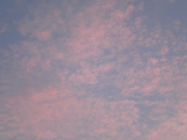 f0130894_21143261.jpg