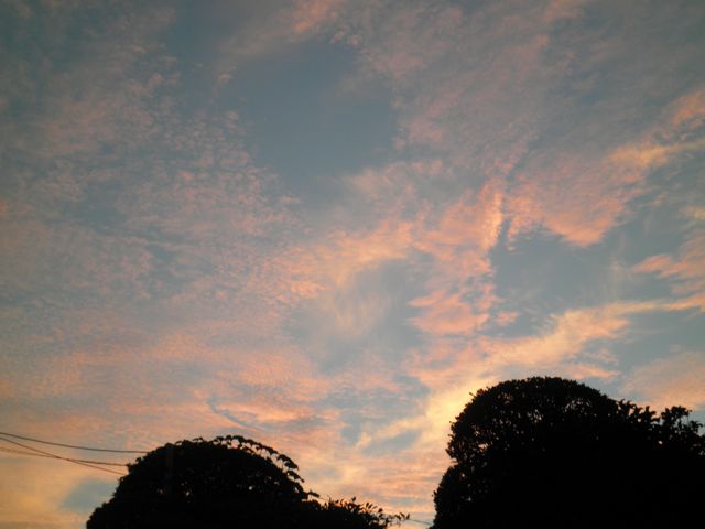 f0130894_21151163.jpg