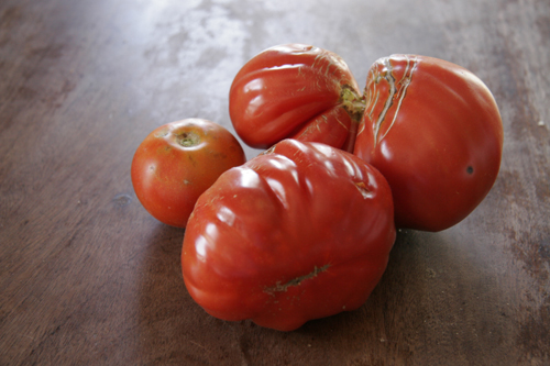 夏野菜がまだまだ採れています~9月の畑_f0106597_23305711.jpg