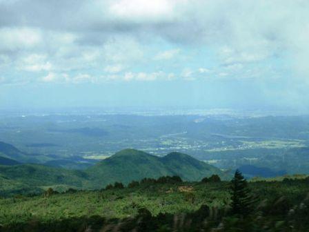 d0069498_2024956.jpg
