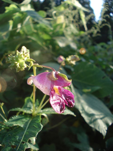 a0061599_74926.jpg