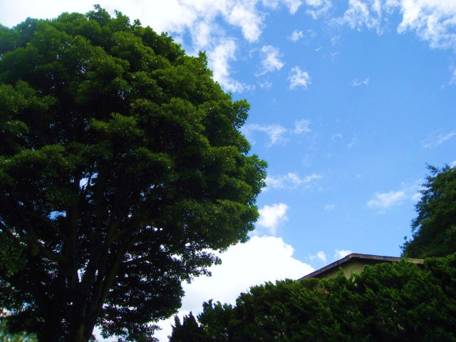 b0172502_12171462.jpg