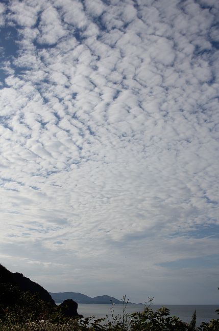 c0155902_2142479.jpg