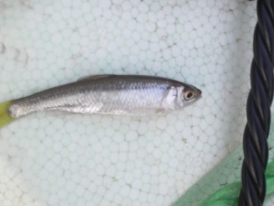 f0082402_23103358.jpg