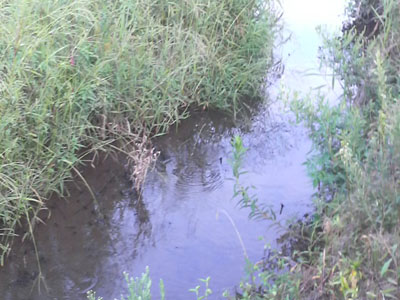 f0082402_2382190.jpg