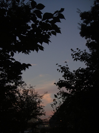 a0167803_21394084.jpg