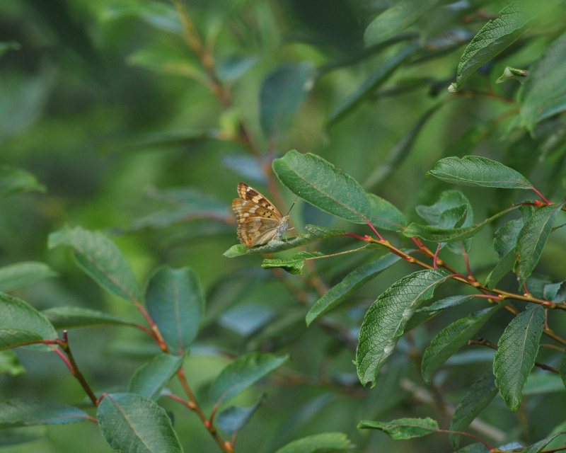 e0103903_16303583.jpg