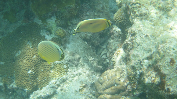 b0195304_22463297.jpg